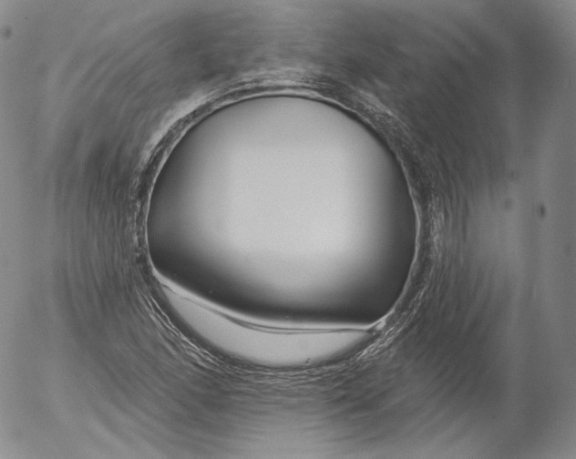 X0000053121166200508012144