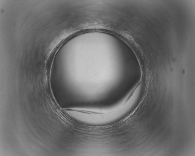 X0000053121167200508012144