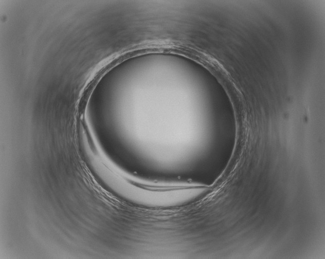 X0000053121168200508012144