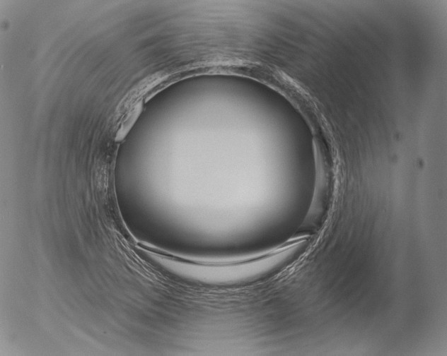 X0000053121169200508012144