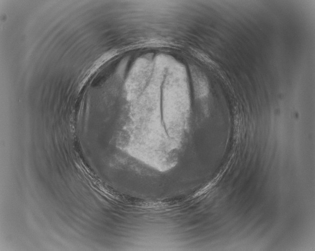 X0000053121170200508012144