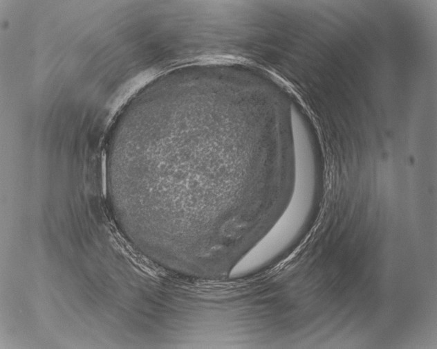 X0000053121171200508012144