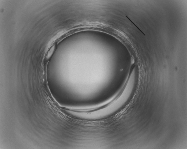 X0000053121172200508012144