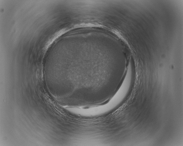 X0000053121173200508012144