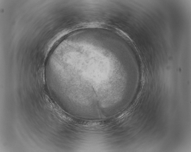 X0000053121174200508012144