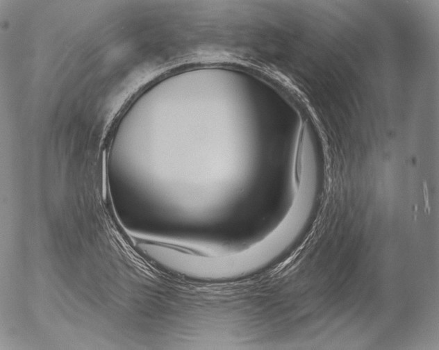 X0000053121175200508012144