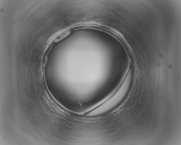 X0000053121176200508012144