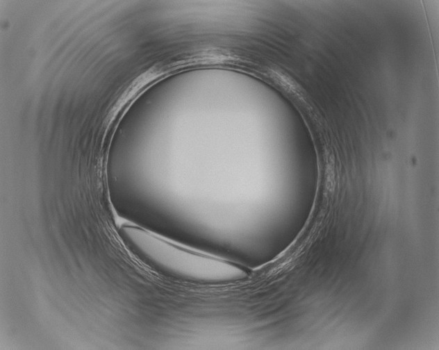 X0000053121178200508012144