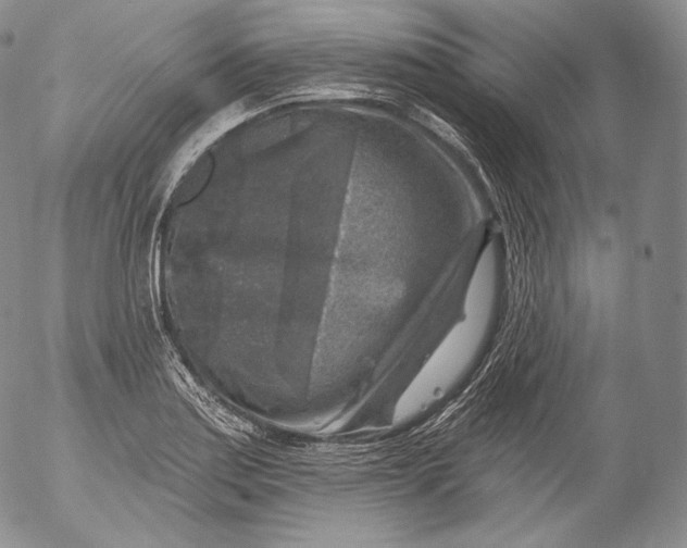 X0000053121179200508012143