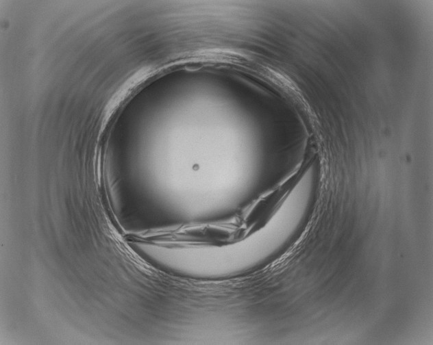 X0000053121180200508012143