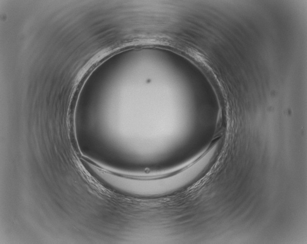 X0000053121181200508012143