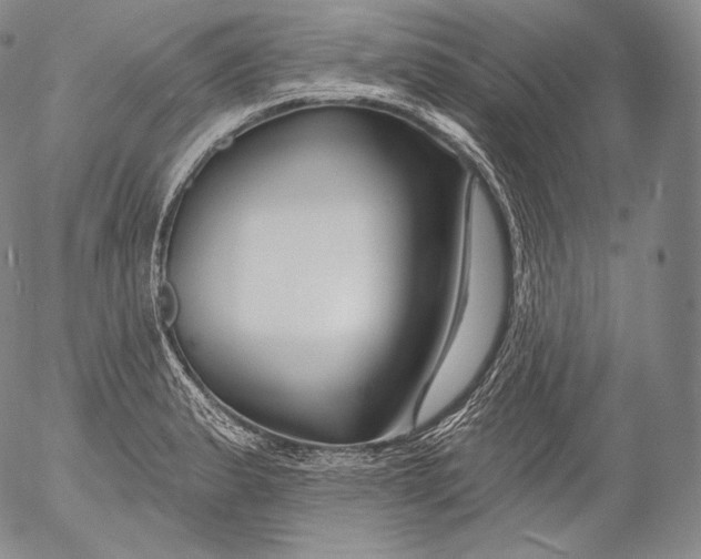 X0000053121183200508012143