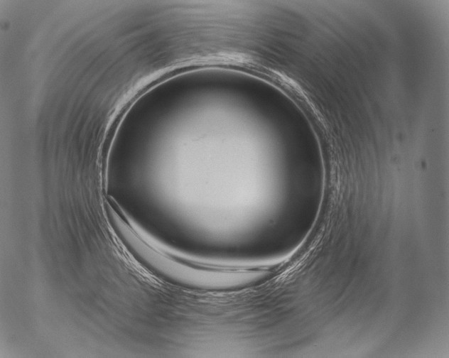 X0000053121184200508012143