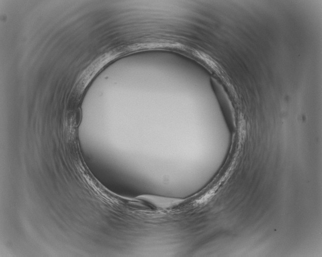 X0000053121185200508012143