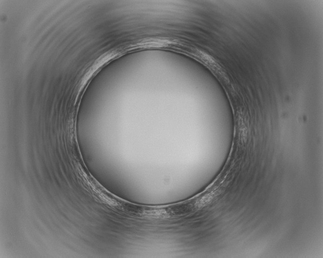 X0000053121186200508012143