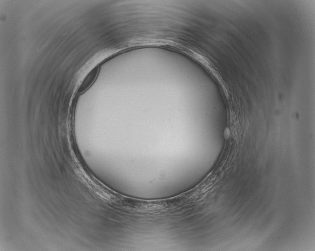 X0000053121187200508012143