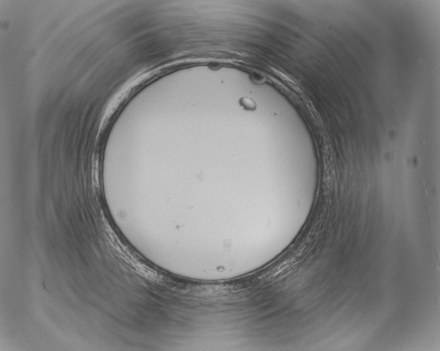 X0000053121188200508012143