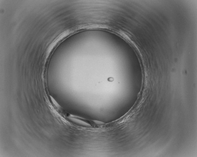 X0000053121189200508012143