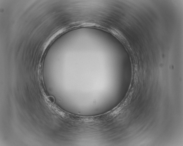 X0000053121190200508012143