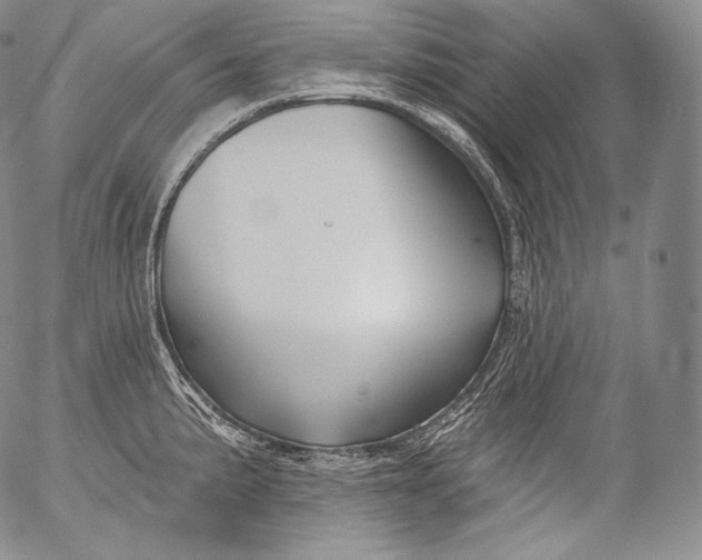 X0000053121191200508012143