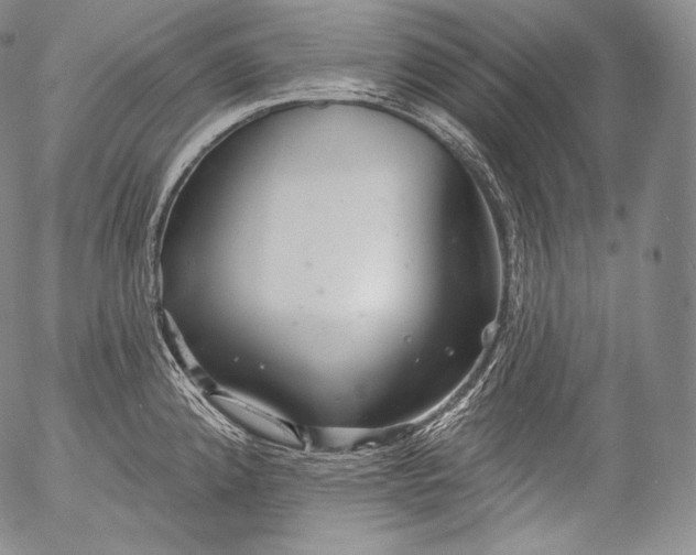 X0000053121192200508012143