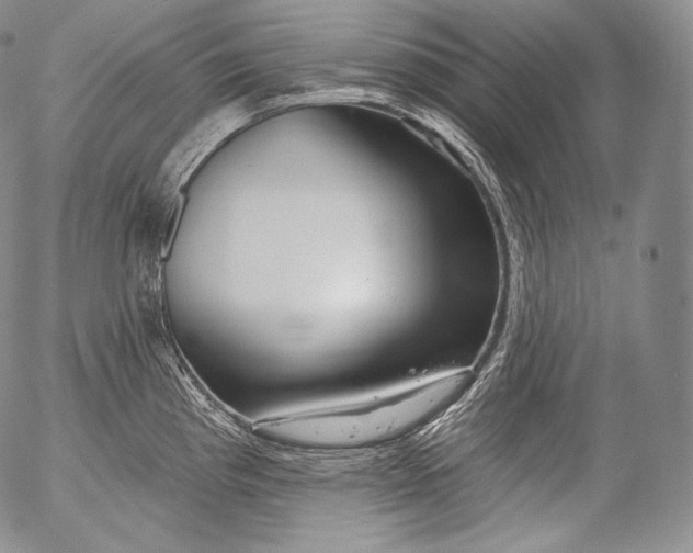 X0000053121193200508012143