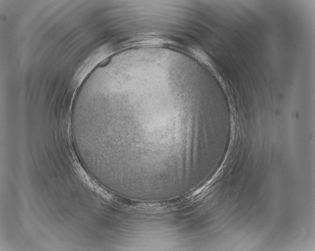 X0000053121194200508012143