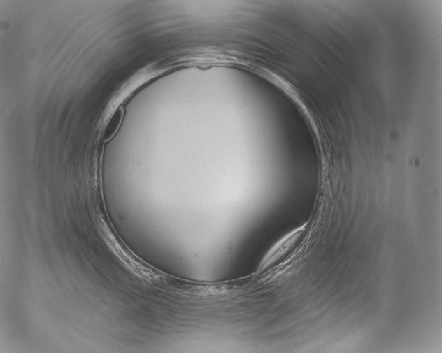 X0000053121195200508012143