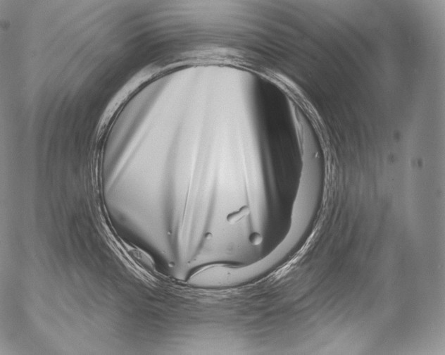 X0000053121196200508012143