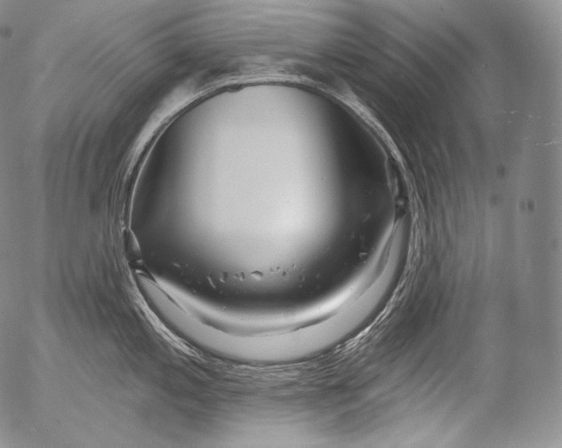 X0000053121197200508012143