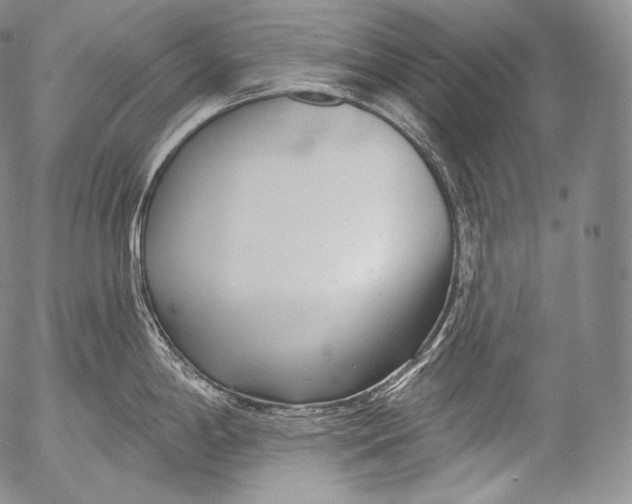 X0000053121198200508012143