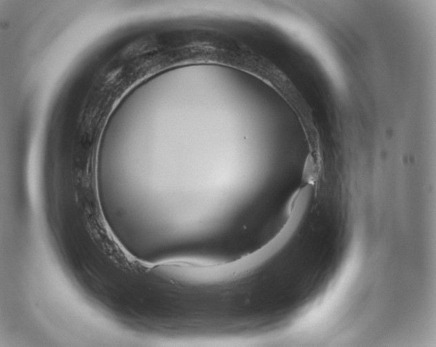 X0000053121199200508012143