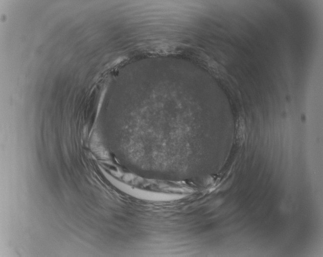 X0000053121202200508012142