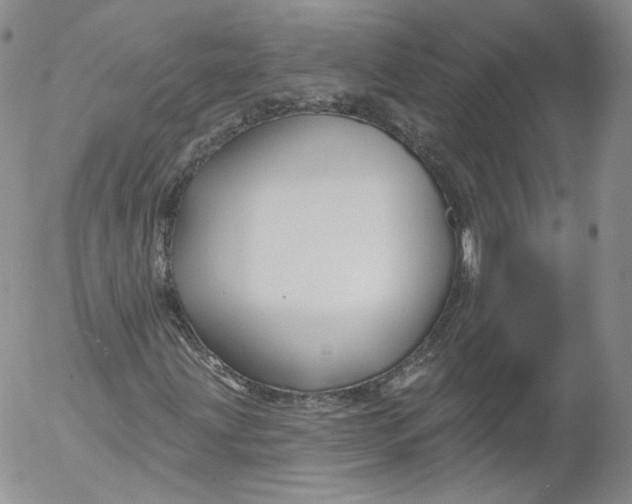 X0000053121203200508012142