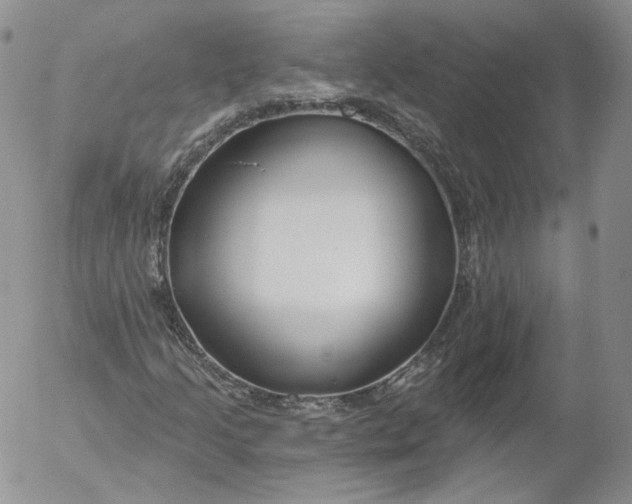 X0000053121205200508012142