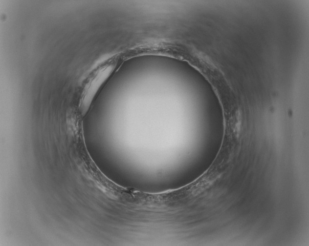 X0000053121206200508012142