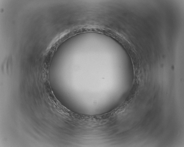 X0000053121207200508012142