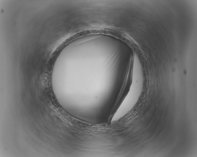 X0000053121208200508012142