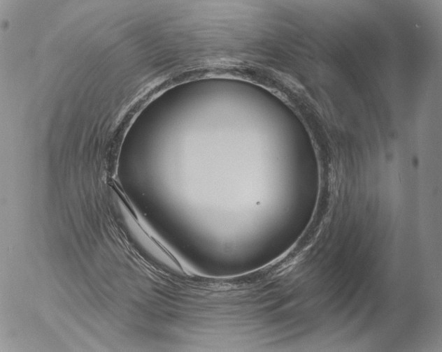 X0000053121209200508012142