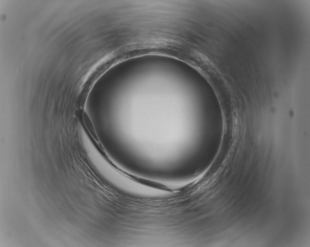 X0000053121210200508012142