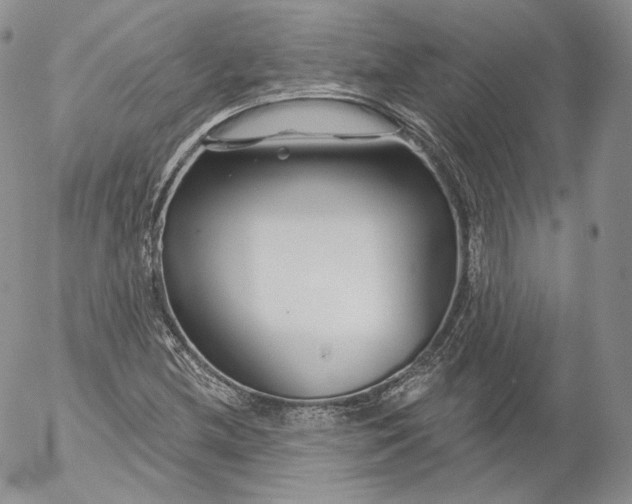 X0000053121212200508012143