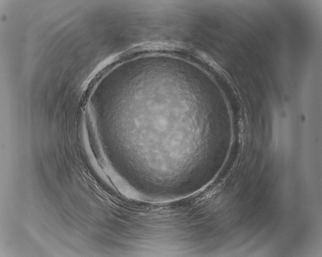 X0000053121213200508012143