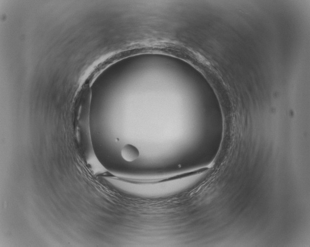 X0000053121214200508012143