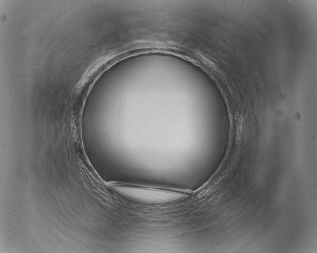 X0000053121215200508012143