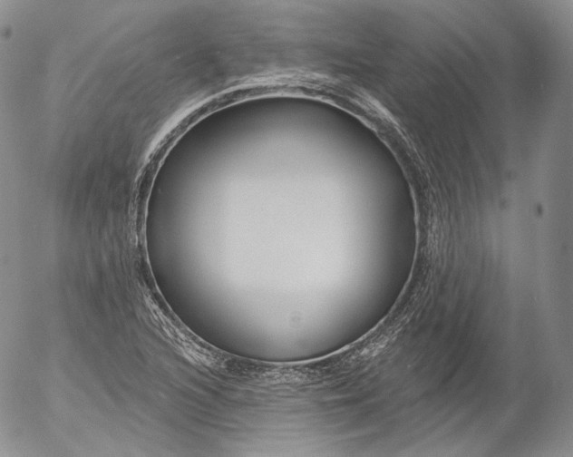 X0000053121216200508012143