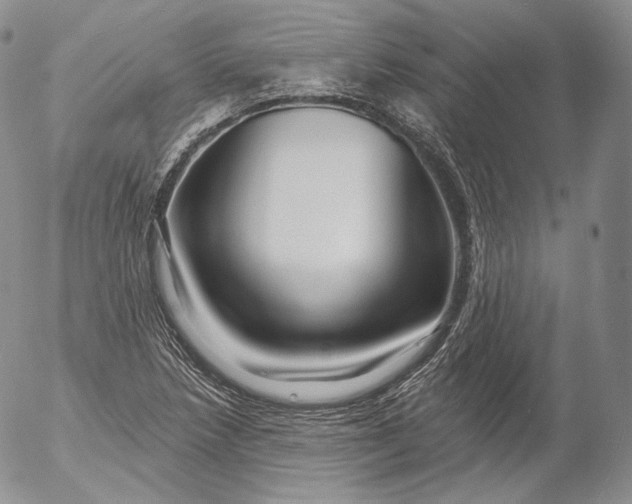 X0000053121218200508012143