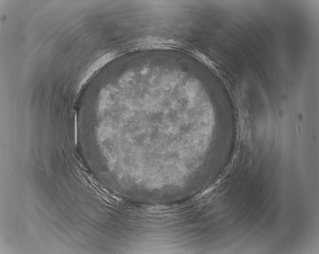 X0000053121219200508012143