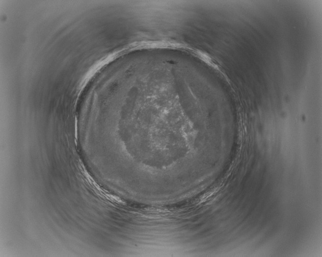 X0000053121221200508012143