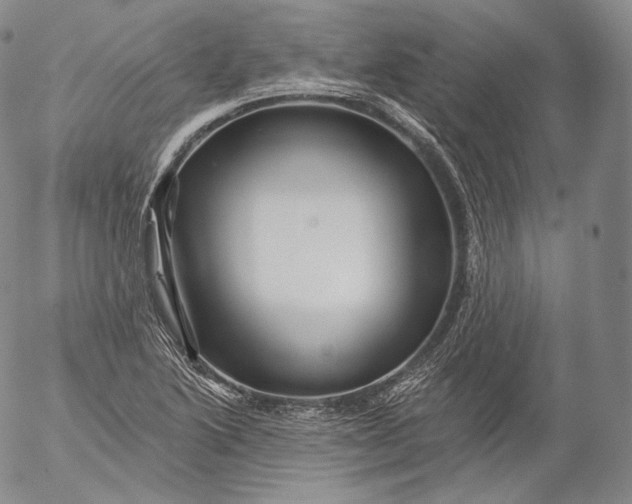 X0000053121222200508012143