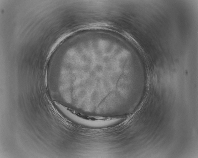 X0000053121224200508012143